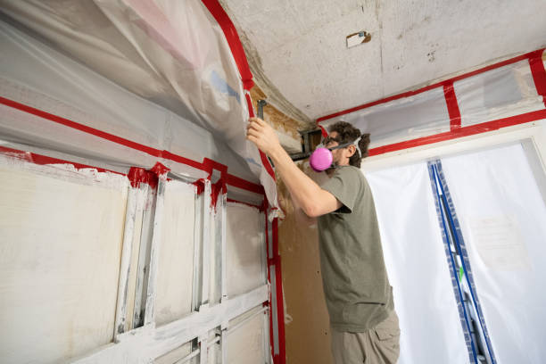 Professional Mold Removal in Lakeside, FL