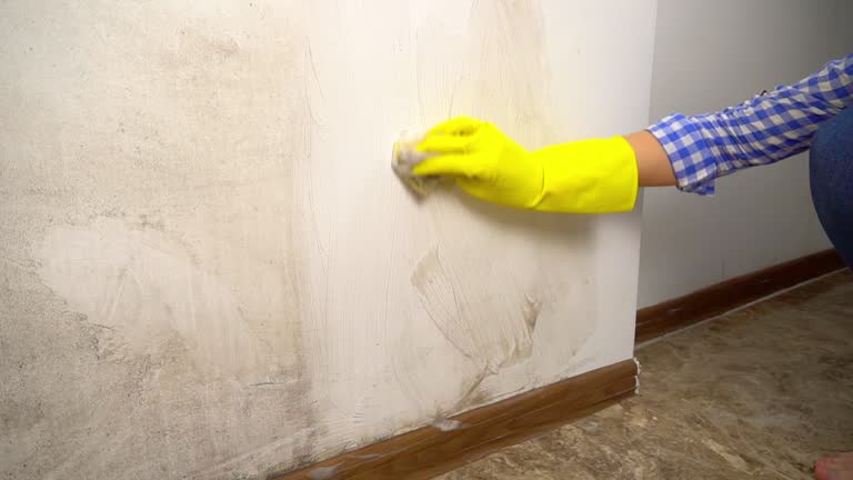 Best Post-Construction Mold Inspection  in Lakeside, FL